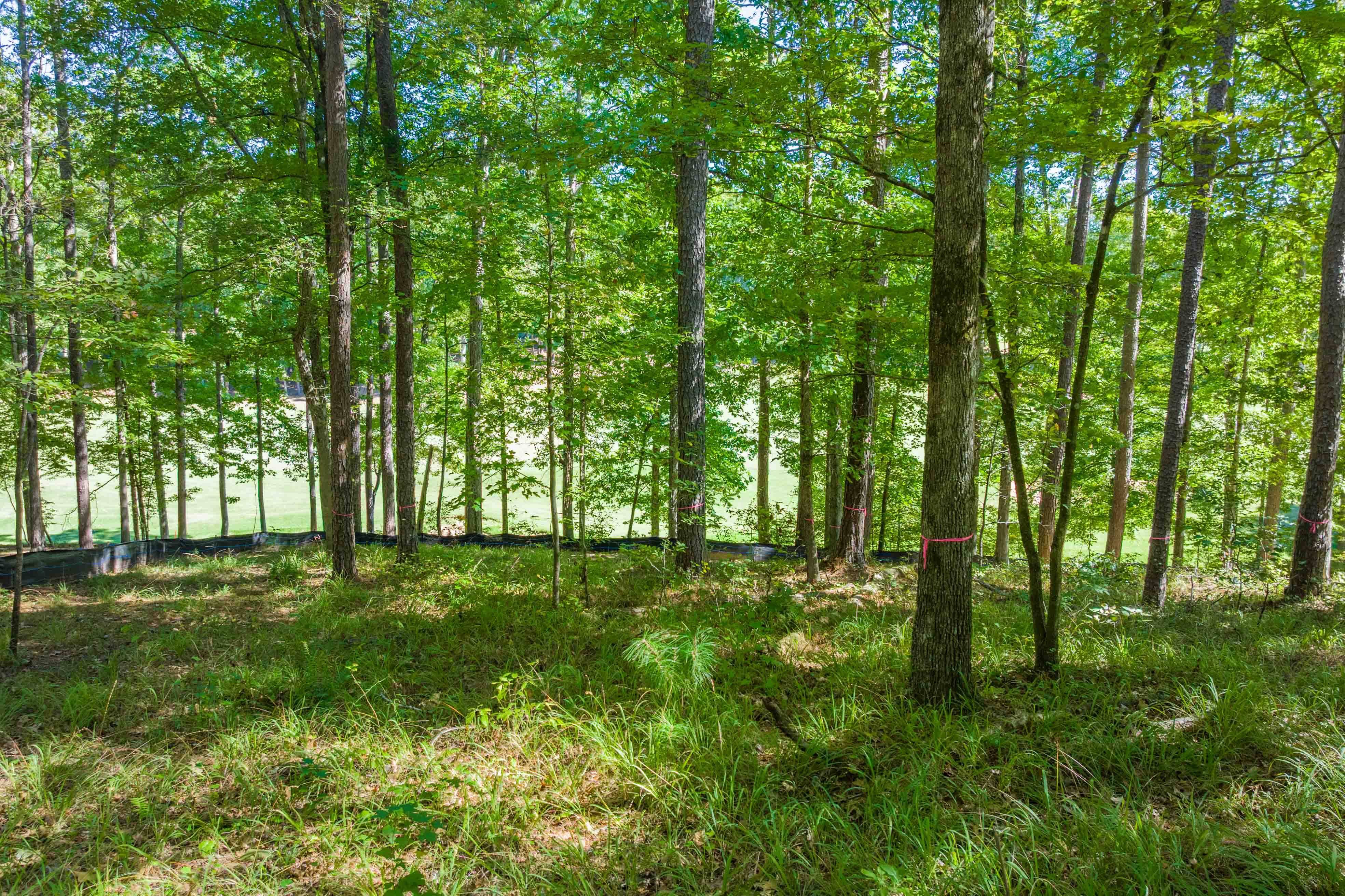 1200 Callahan's Ridge Road image 11